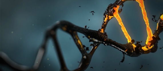 DNA molecular scissors