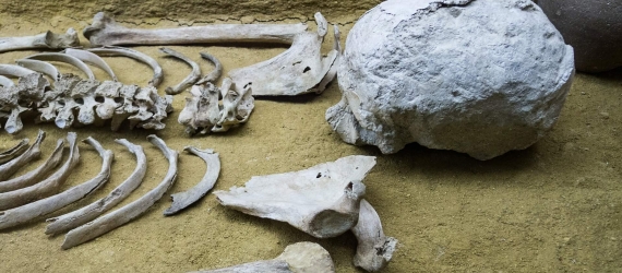 Skeleton bones on the floor of a burial site